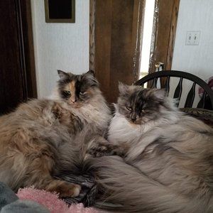 Meet your Posher, Barb